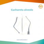 Cuchareta alveolo
